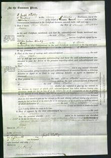 Court of Common Pleas - Ellen Walker-Original Ancestry