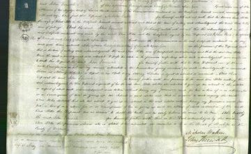 Court of Common Pleas - Ann Potts-Original Ancestry