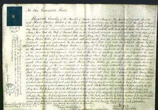 Court of Common Pleas - Mary Ann Ford-Original Ancestry