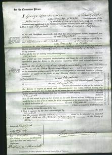 Court of Common Pleas - Elizabeth Helps-Original Ancestry