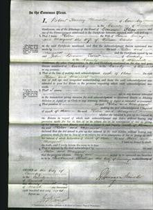 Court of Common Pleas - Helen Cramp and Margaret Carter-Original Ancestry