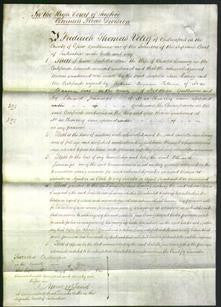 Court of Common Pleas - Isabella Jane Leeming-Original Ancestry