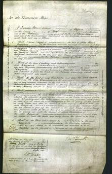 Court of Common Pleas - Elizabeth Armitage-Original Ancestry