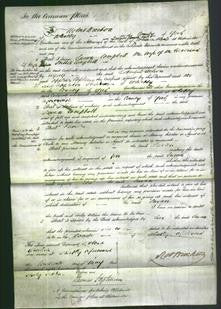 Court of Common Pleas - Susan Campbell-Original Ancestry