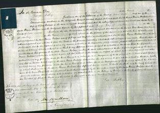 Court of Common Pleas - Maria Melsom-Original Ancestry