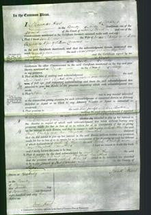 Court of Common Pleas - Sarah Parless and Ann Elizabeth Carrathers-Original Ancestry