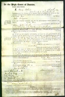 Court of Common Pleas - Ann Hodgson-Original Ancestry