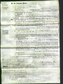 Court of Common Pleas - Elizabeth Bruce-Original Ancestry