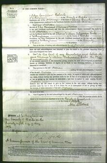 Court of Common Pleas - Marian Morres-Original Ancestry