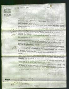 Court of Common Pleas - Ellen Messum-Original Ancestry