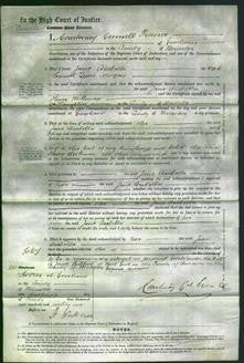 Court of Common Pleas - Jane Arabella Morgan-Original Ancestry