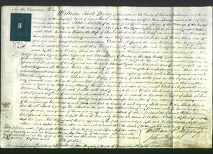 Court of Common Pleas - Virtue Read-Original Ancestry