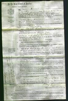 Court of Common Pleas - Ellen Davis-Original Ancestry
