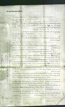 Court of Common Pleas - Mary Hope-Original Ancestry