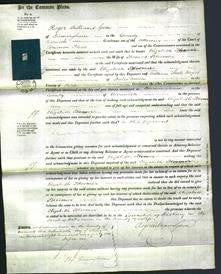 Court of Common Pleas - Elizabeth Bloomer-Original Ancestry