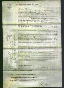 Court of Common Pleas - Maria Clayton-Original Ancestry