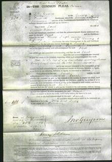 Court of Common Pleas - Sarah Nicholl-Original Ancestry