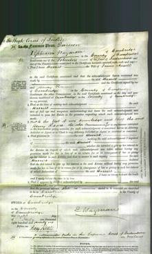 Court of Common Pleas - Harriet Ansell-Original Ancestry