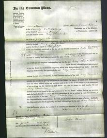 Court of Common Pleas - Mary Chamberlain-Original Ancestry