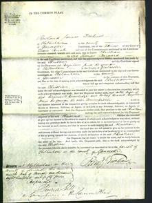 Court of Common Pleas - Christian Barnard-Original Ancestry