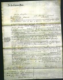 Court of Common Pleas - Jane Templer-Original Ancestry