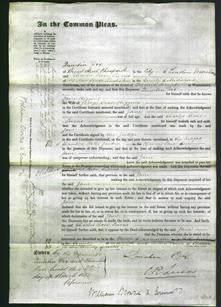 Court of Common Pleas - Jane Higgins-Original Ancestry