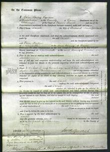 Court of Common Pleas - Sarah Garland-Original Ancestry