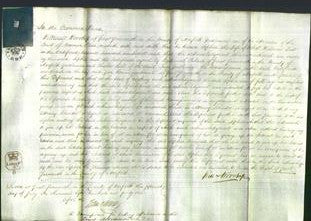 Court of Common Pleas - Sophia Dow-Original Ancestry