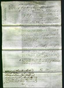 Court of Common Pleas - Susannah Browne, Sarah Aime and Susannah Bull-Original Ancestry