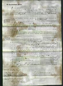 Court of Common Pleas - Elizabeth Whitehead-Original Ancestry