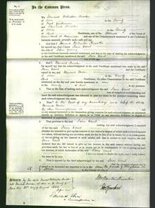 Court of Common Pleas - Jane Court Young-Original Ancestry