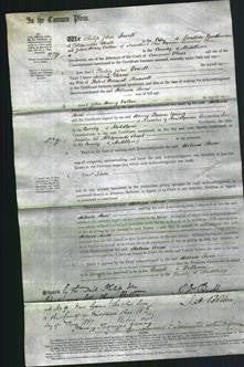 Court of Common Pleas - Helena Anne Maxwell-Original Ancestry