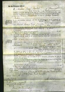 Court of Common Pleas - Florence Adela Tucker-Original Ancestry