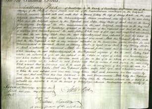 Court of Common Pleas - Betsey White-Original Ancestry