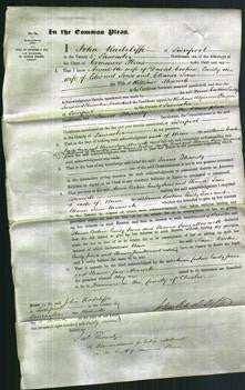 Court of Common Pleas - Annie Costine, Emily Jones, Eleanor Jane Meacock-Original Ancestry