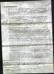 Court of Common Pleas - Elizabeth Cherrill-Original Ancestry