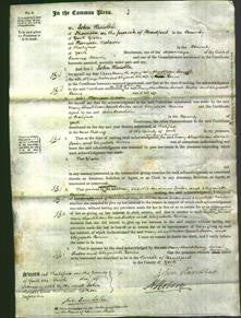 Court of Common Pleas - Mary Shackleton, Sarah Foster and Elizabeth Binns-Original Ancestry