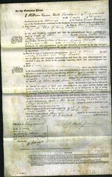 Court of Common Pleas - Mary Tucker and Eliza Baskin-Original Ancestry