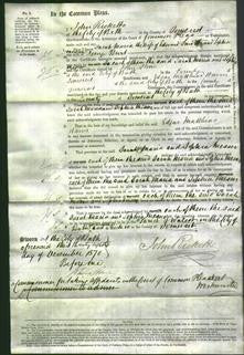 Court of Common Pleas - Sarah Maria Smith and Sophia Messer Burt-Original Ancestry