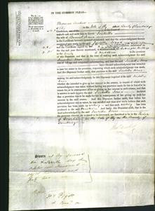 Court of Common Pleas - Isabella Jones-Original Ancestry