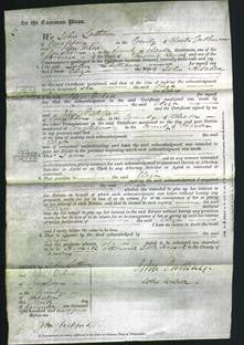 Court of Common Pleas - Eliza Kitchen-Original Ancestry