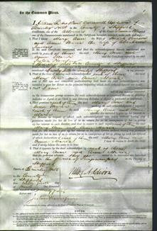 Court of Common Pleas - Mary Ann Pearson and Anne Maria Jeavons-Original Ancestry