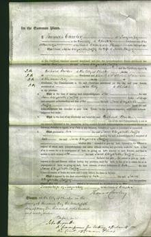 Court of Common Pleas - Jane Elizabeth Boffey-Original Ancestry
