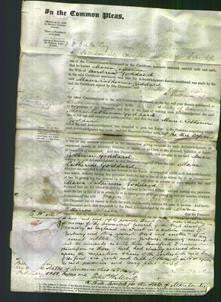 Court of Common Pleas - Maria Catherine Goddard-Original Ancestry