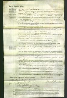 Court of Common Pleas - Mary Ann Morgan-Original Ancestry