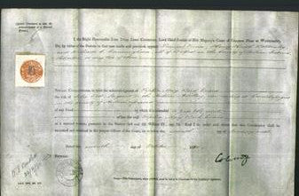 Appointment of Special Commisioners - Samuel Vance, Henry Haigh Bottomley and William C. Cunningham-Original Ancestry
