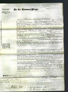 Court of Common Pleas - Elizabeth Tranter-Original Ancestry