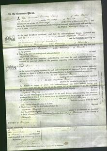 Court of Common Pleas - Sophia Rogers-Original Ancestry