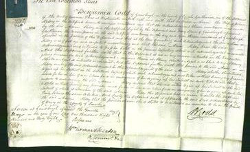 Court of Common Pleas - Ann Kelsey-Original Ancestry