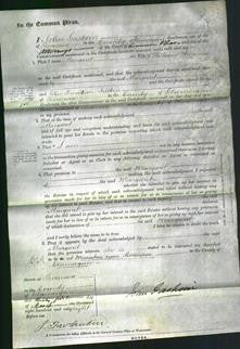 Court of Common Pleas - Margaret Thomas-Original Ancestry